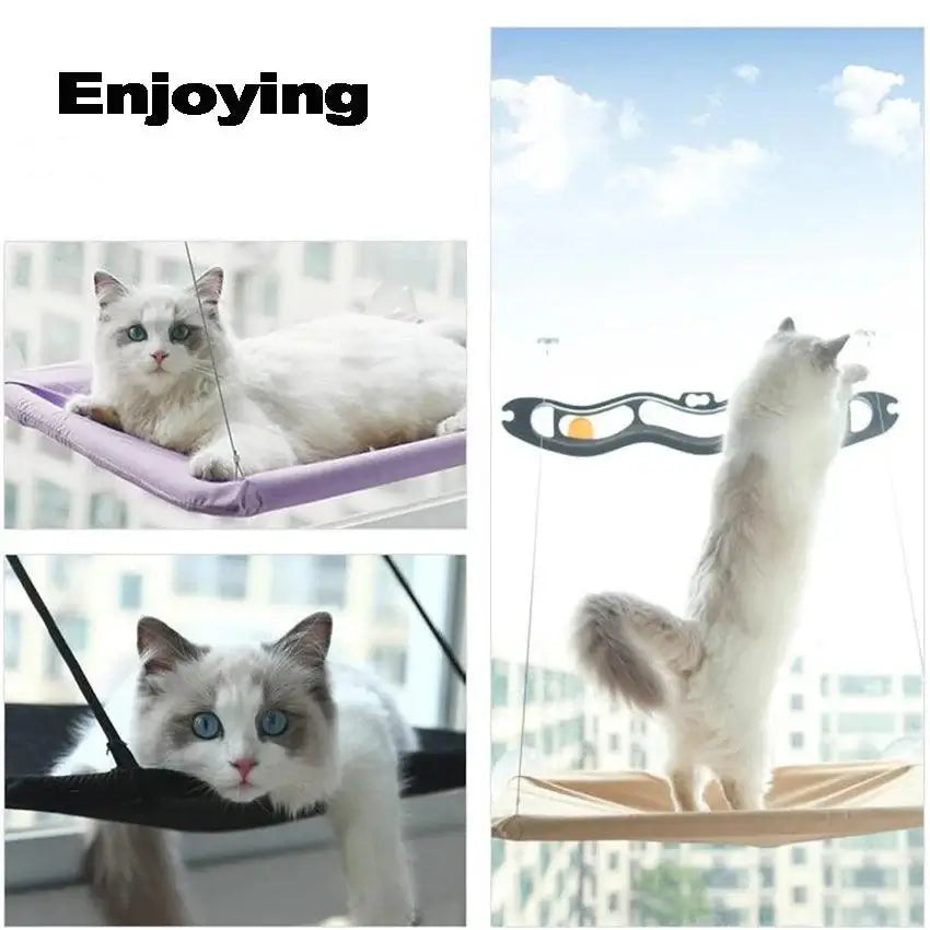 Hangout Cat Hammock - Alexa Pet Shop