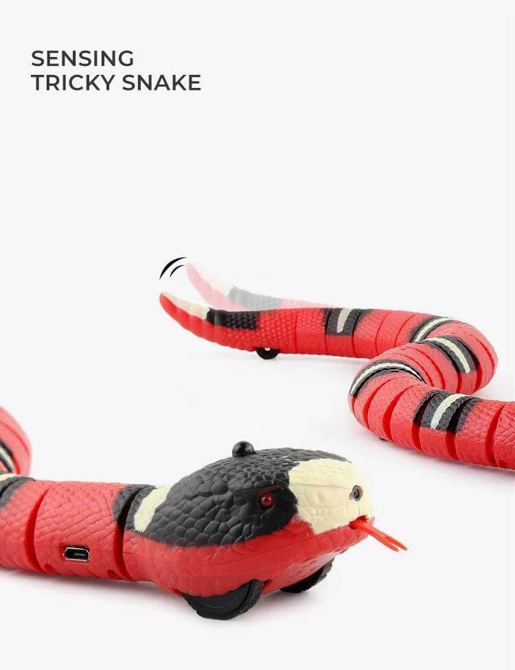 Smart Sensing Snake Toy for Pets - Alexa Pet Shop