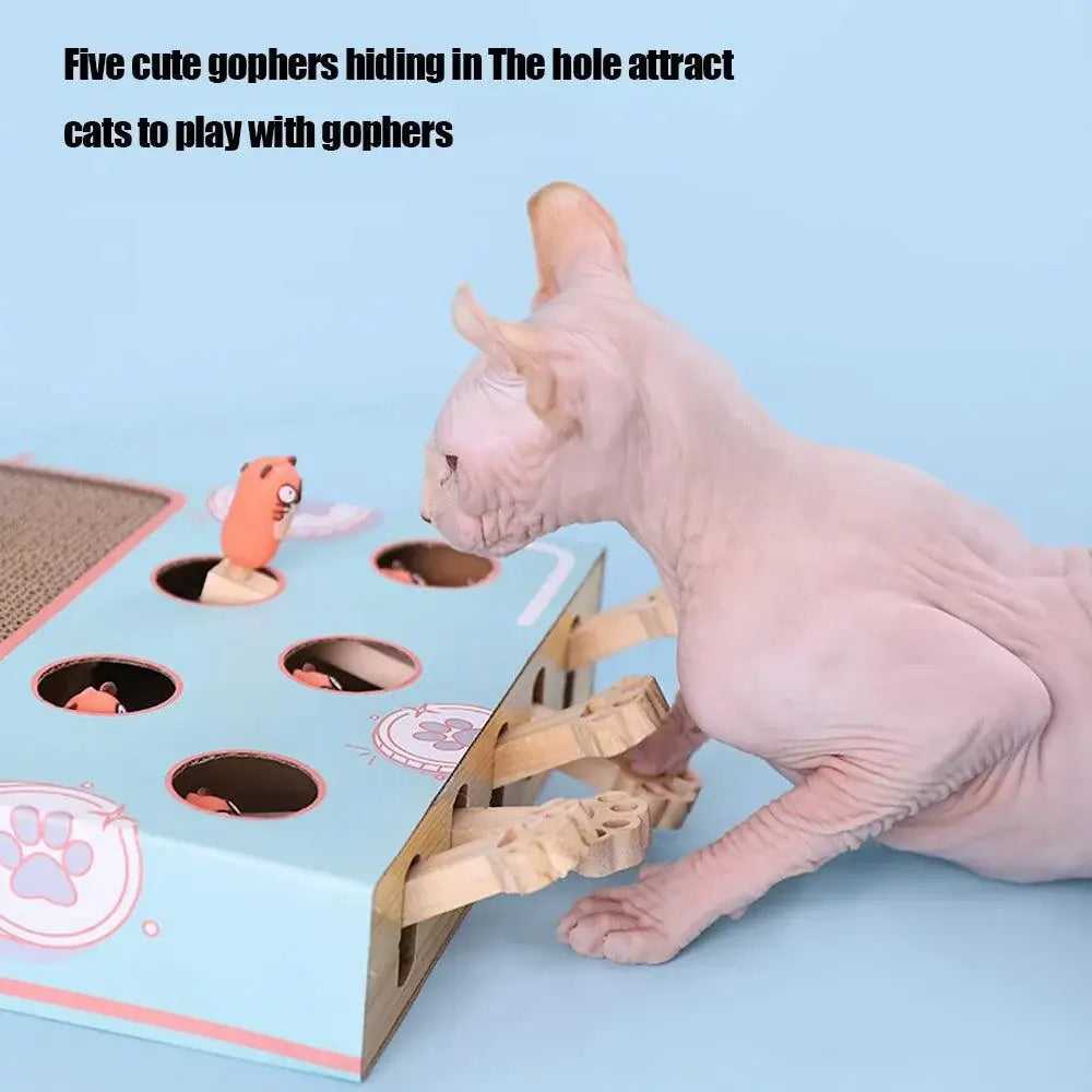 Whack-a-Mole 3-in-1 Cat Game Box - Alexa Pet Shop