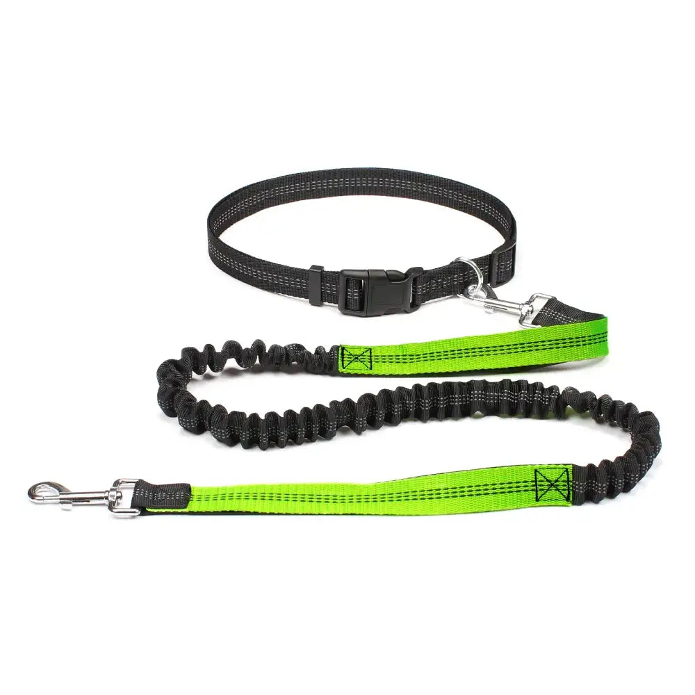 Tail Runner - Hands-Free Dog Leash