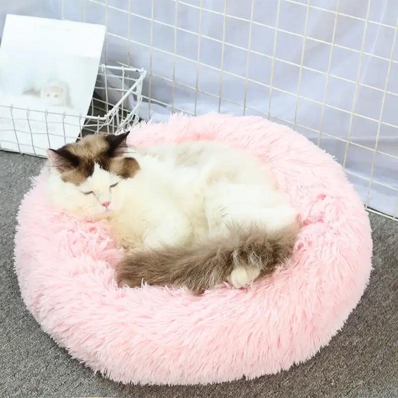 Fluffy pink round pet bed with a sleeping cat, perfect for small dogs and cats, offering comfort and anxiety relief.