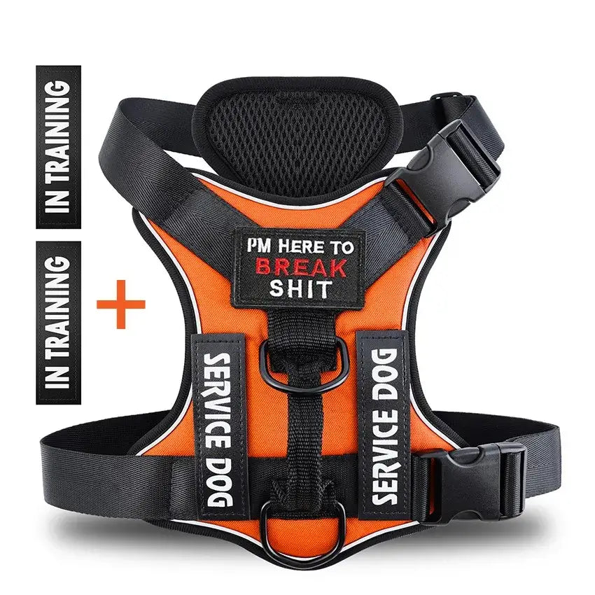 Orange service dog harness with training labels, featuring comfortable padding and durable construction.