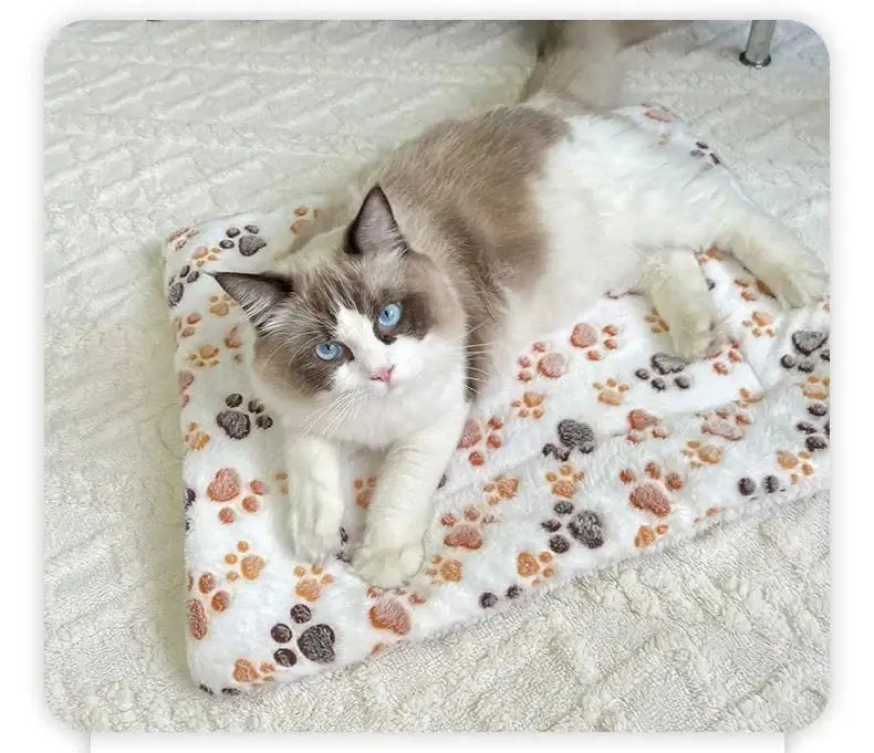 Cat lounging on a cozy flannel pet sleeping mat with paw prints, showcasing comfort and style for pet bedding.