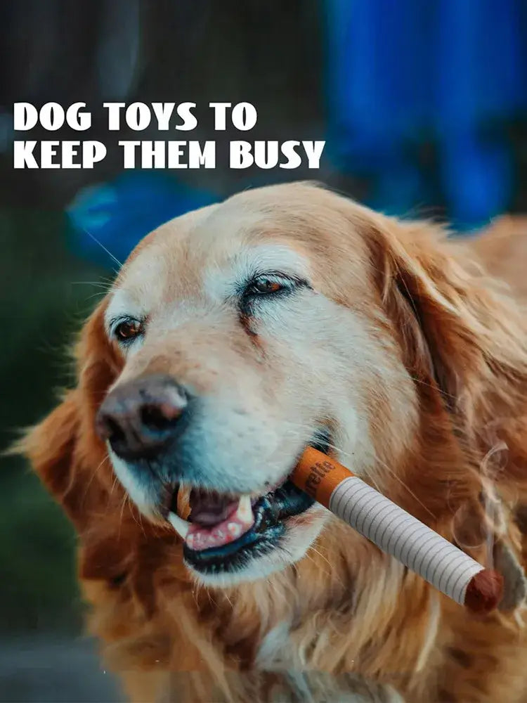 Golden retriever with a plush cigarette dog toy in its mouth, promoting fun and engaging dog entertainment.