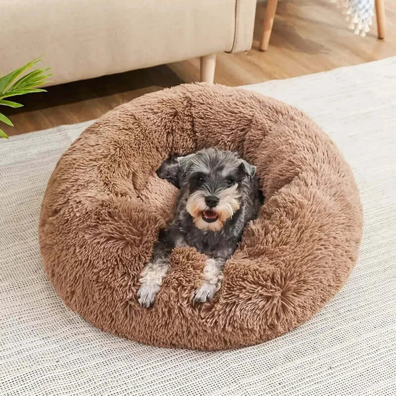 Cozy plush dog bed with a happy dog inside, perfect for small pets seeking comfort and anxiety relief.