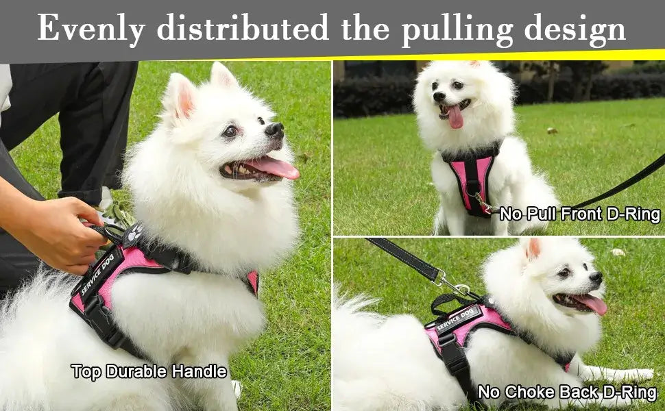 Reflective dog vest and harness featuring no-pull front D-ring, durable handle, and no-choke back D-ring for comfort.
