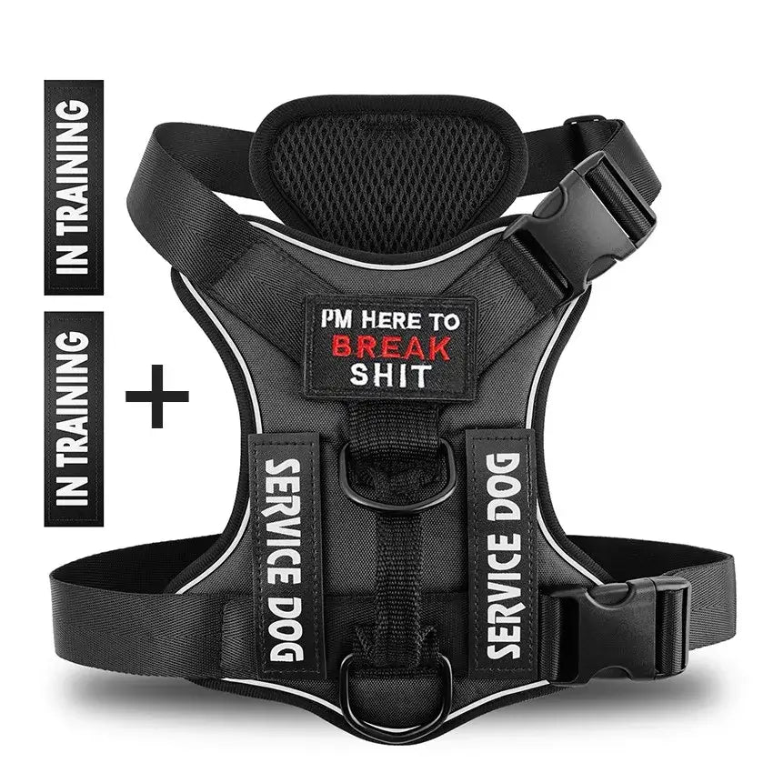 Black dog harness with bold text 'SERVICE DOG' and 'I'M HERE TO BREAK SHIT' design, featuring adjustable straps.