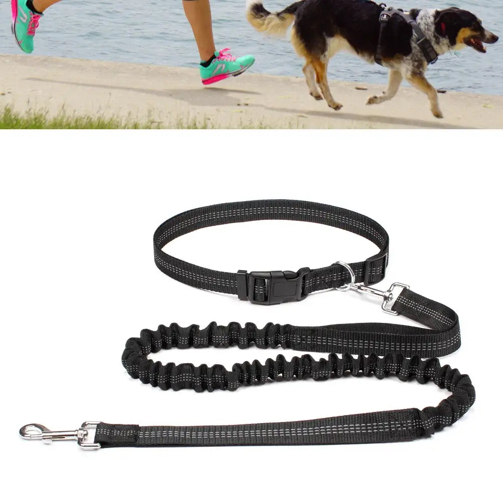 Tail Runner - Hands-Free Dog Leash