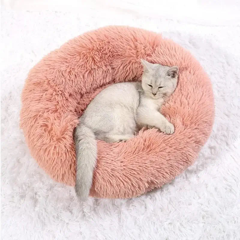 Cozy plush cat bed in round donut shape with a relaxed cat, perfect for anxiety relief and warm winter sleep.