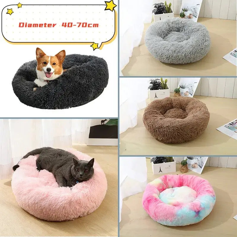 Variety of soft, round pet beds in different colors, ideal for small dogs and cats for cozy comfort.