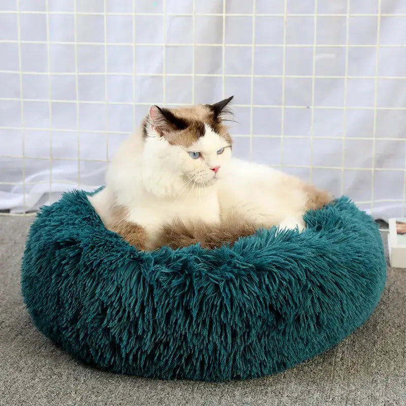Cozy plush cat bed in teal with a cat resting comfortably, perfect for anxiety relief and cozy naps.