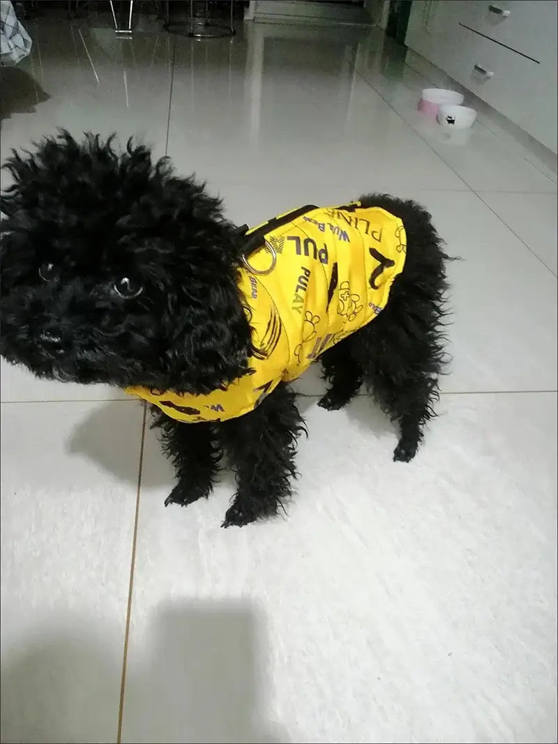 Small black dog wearing a yellow waterproof jacket with fun prints on a tile floor.