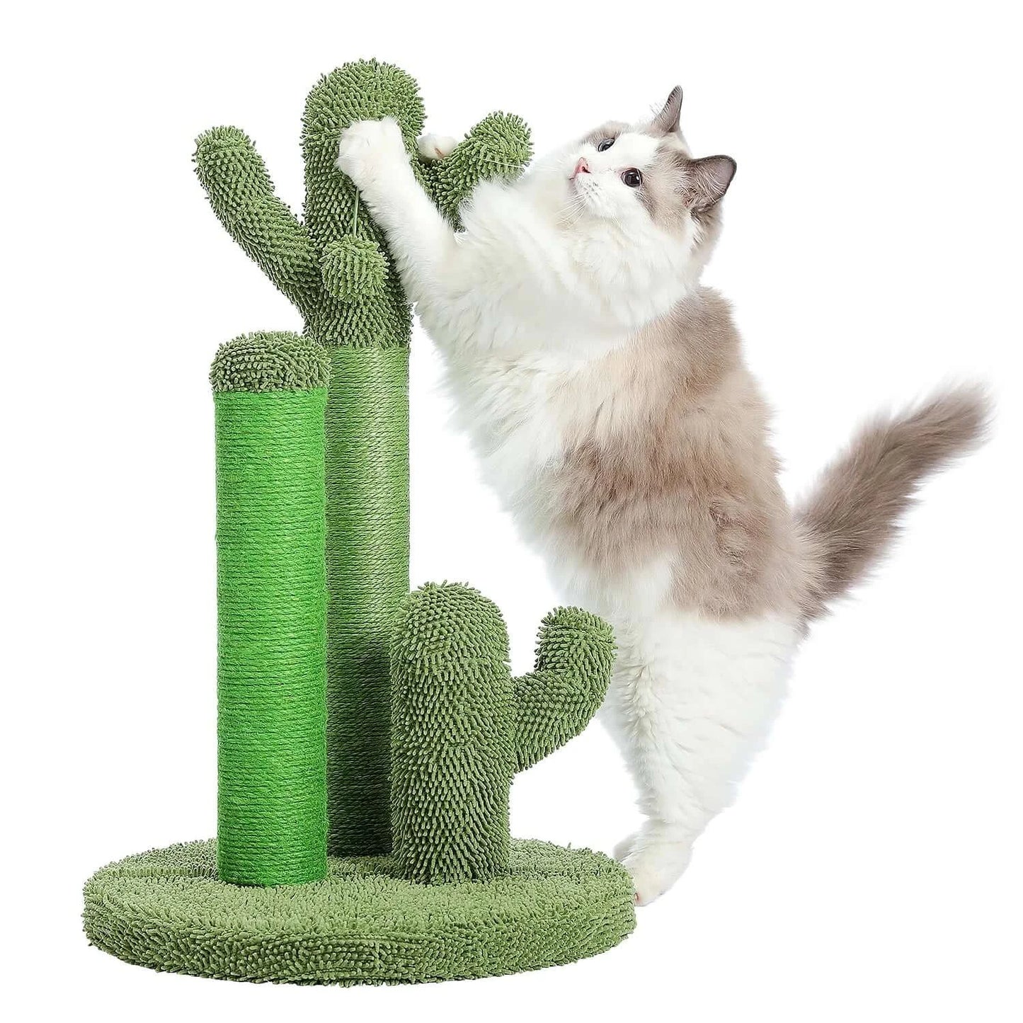 Fluffy cat playing with a cactus-shaped scratching post wrapped in natural sisal, perfect for feline entertainment.