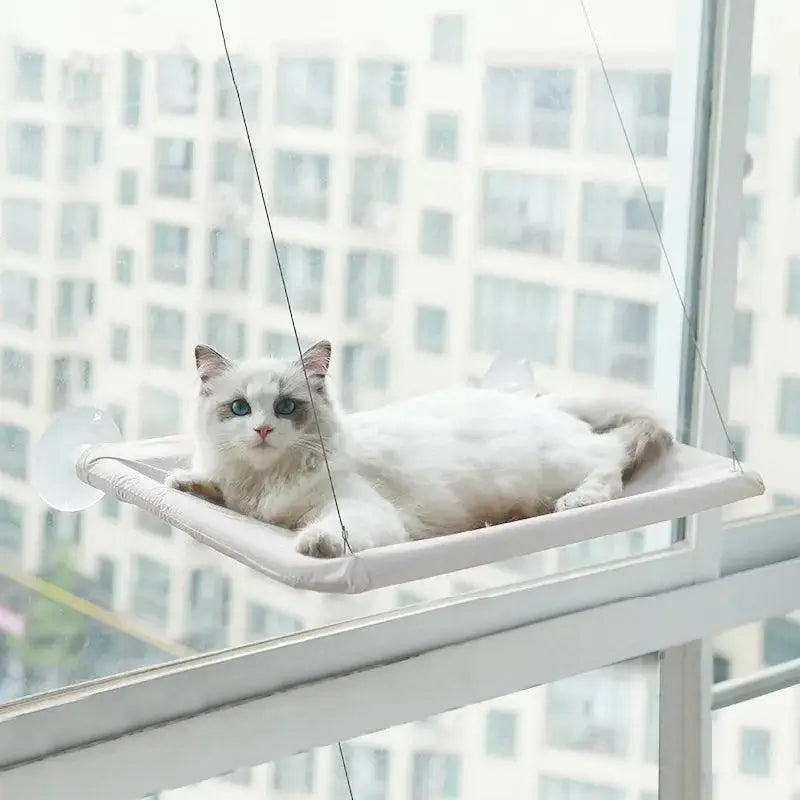Hangout Cat Hammock - Alexa Pet Shop