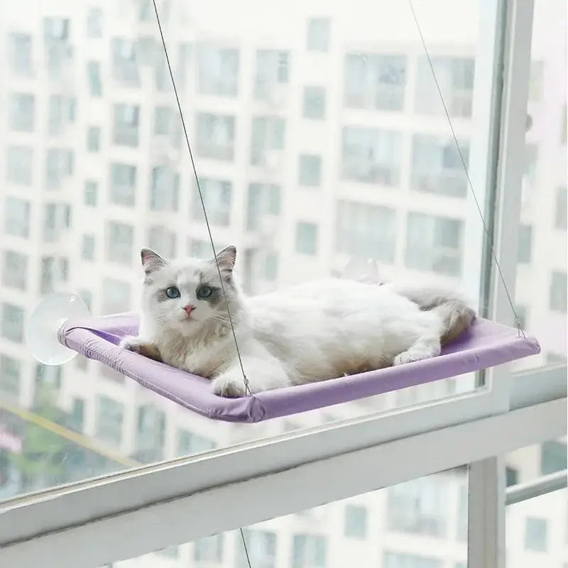 Hangout Cat Hammock - Alexa Pet Shop