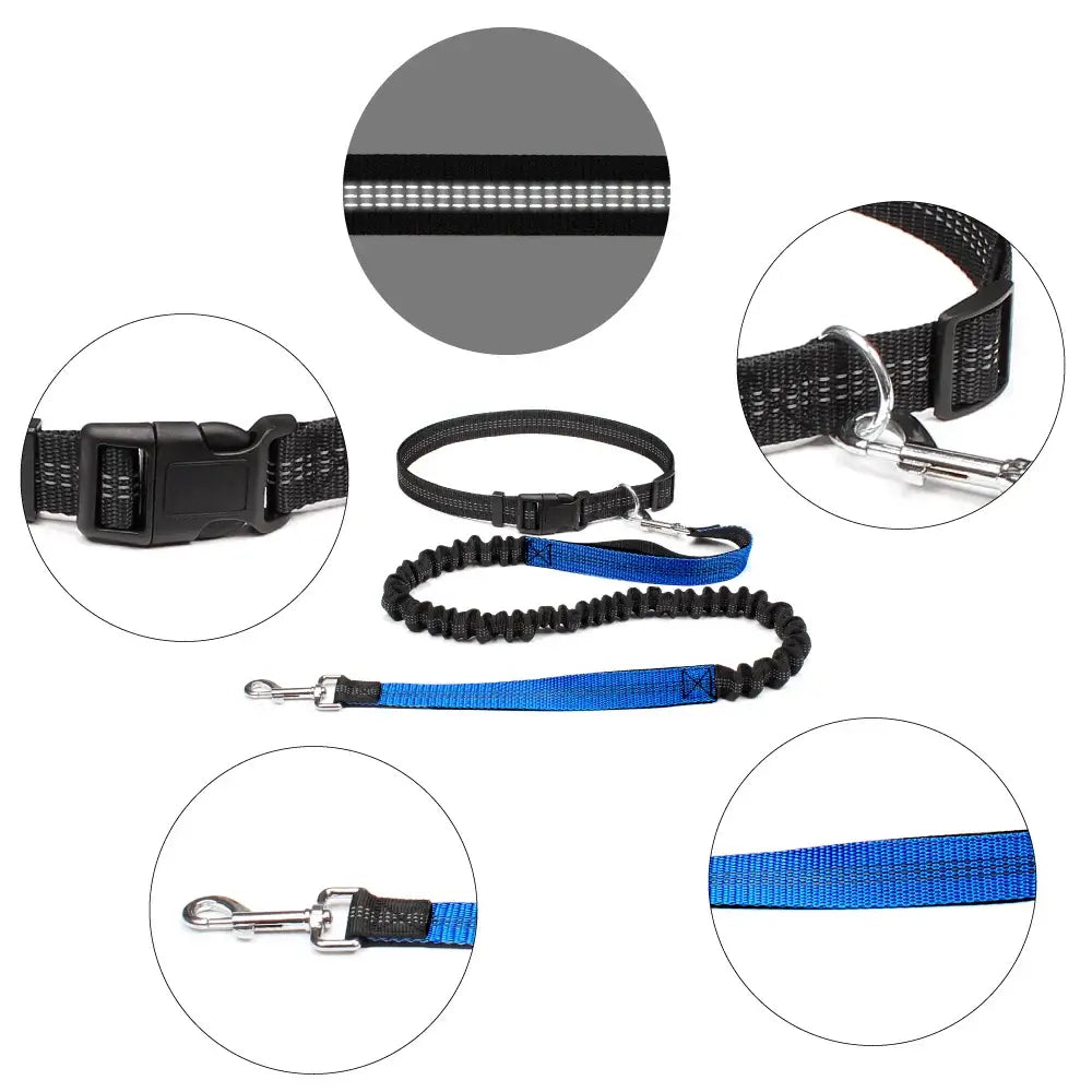 Tail Runner - Hands-Free Dog Leash