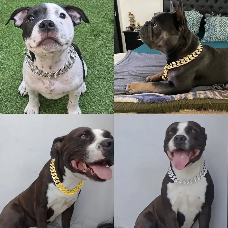 Stylish dogs wearing jeweled collars showcasing luxury pet accessories and sparkling designs.