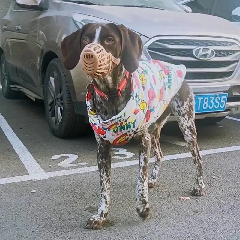 A dog wearing a colorful muzzle and patterned coat stands in a parking lot next to a car.