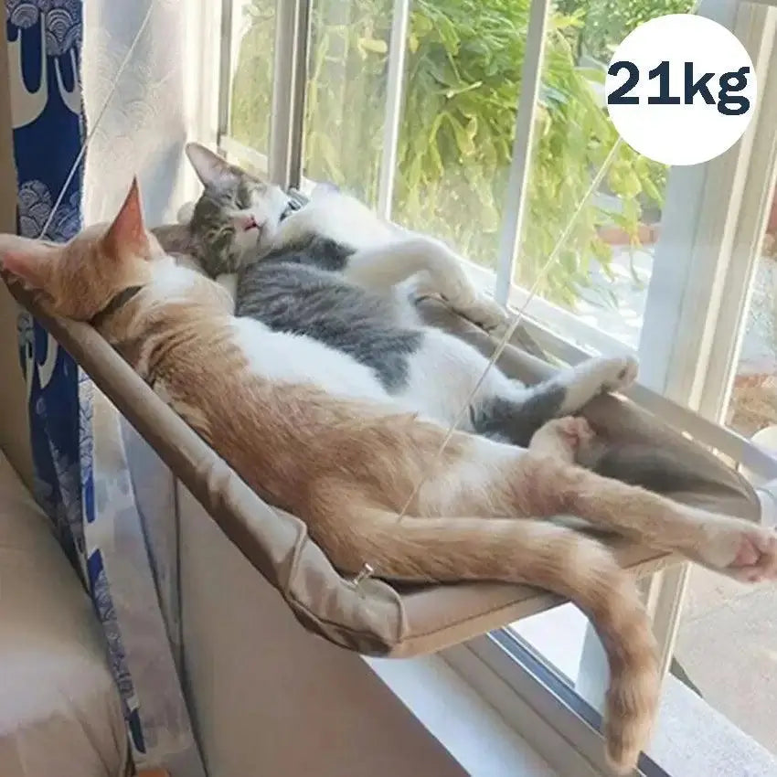 Hangout Cat Hammock - Alexa Pet Shop