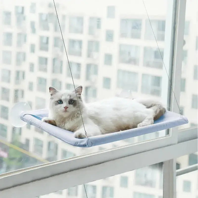 Hangout Cat Hammock - Alexa Pet Shop