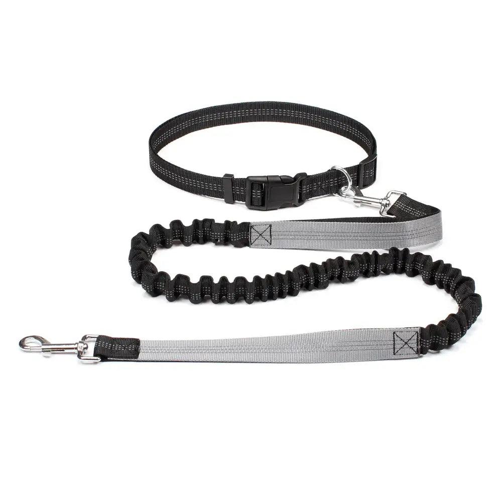 Tail Runner - Hands-Free Dog Leash