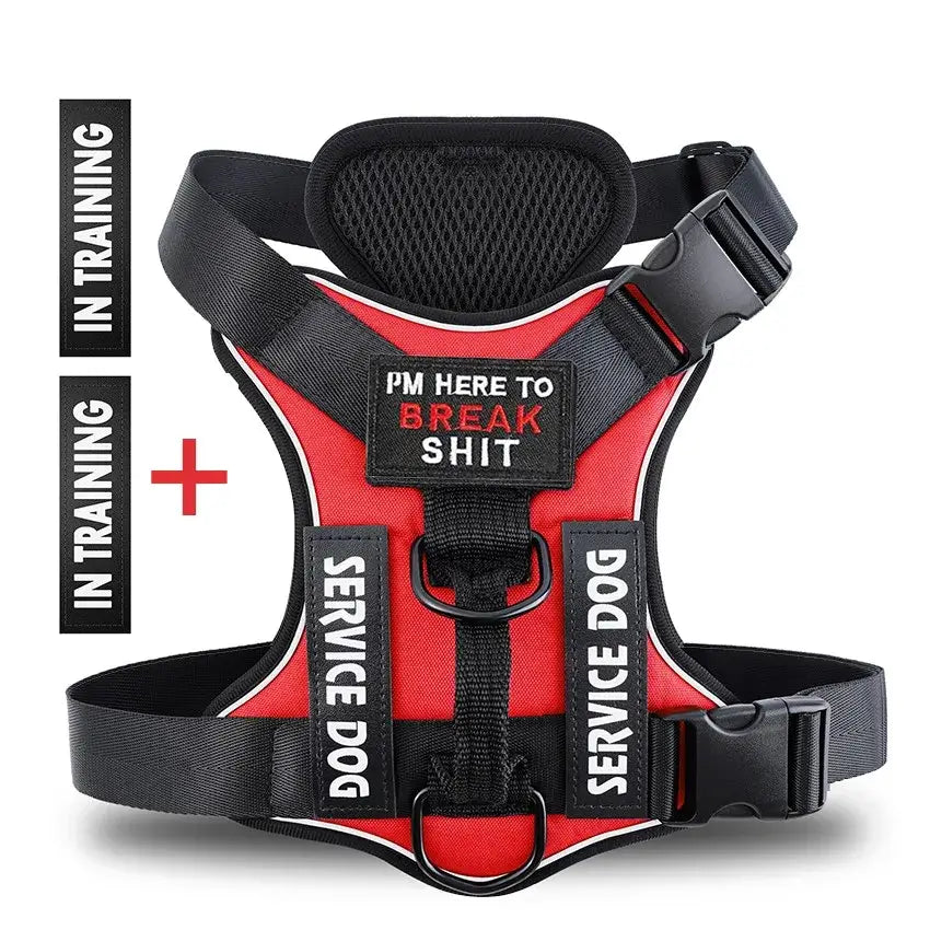Red service dog harness with 'I'm Here to Break Shit' and 'In Training' patches for visibility and comfort.