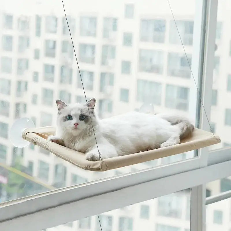 Hangout Cat Hammock - Alexa Pet Shop