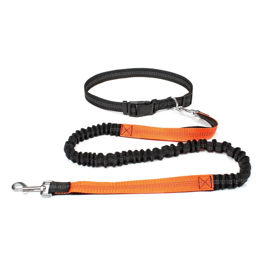 Tail Runner - Hands-Free Dog Leash