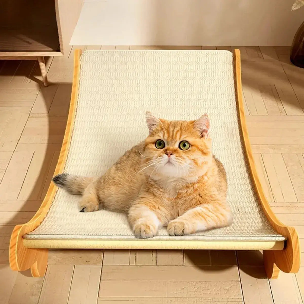 Orange cat lounging on a sisal cat scratcher and bed, showcasing the durable wooden frame and multi-use design.