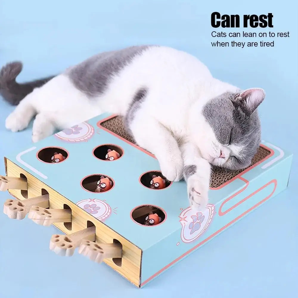 Whack-a-Mole 3-in-1 Cat Game Box - Alexa Pet Shop