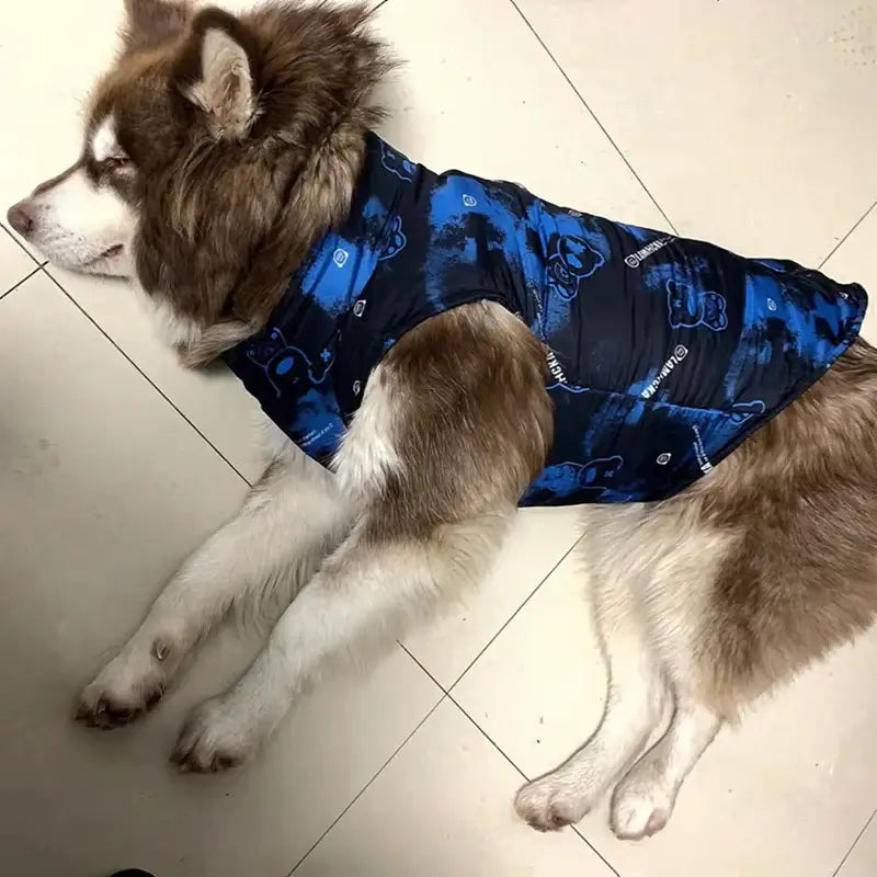 A husky wearing a blue camouflage waterproof dog jacket, showcasing style and comfort for outdoor adventures.