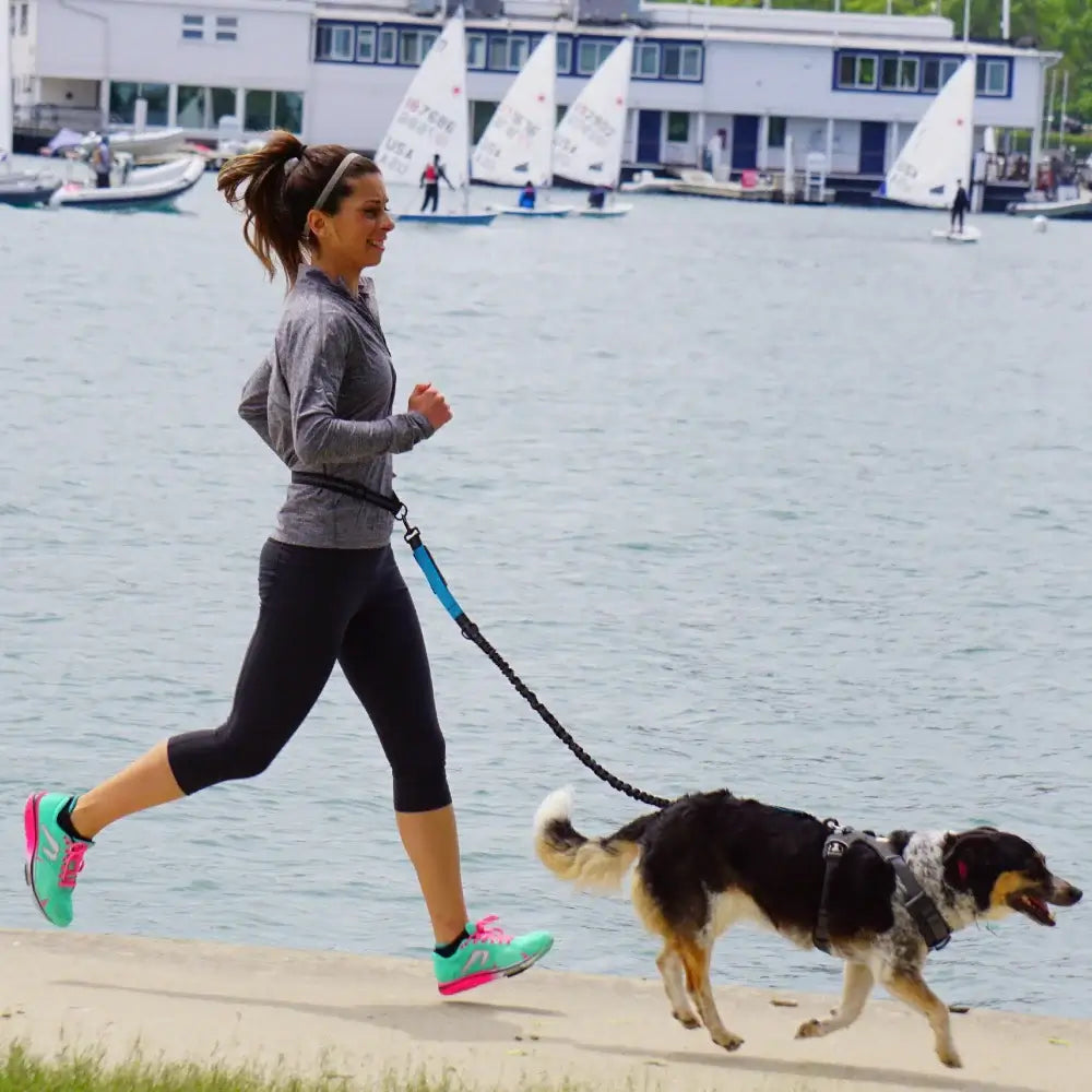 Tail Runner - Hands-Free Dog Leash
