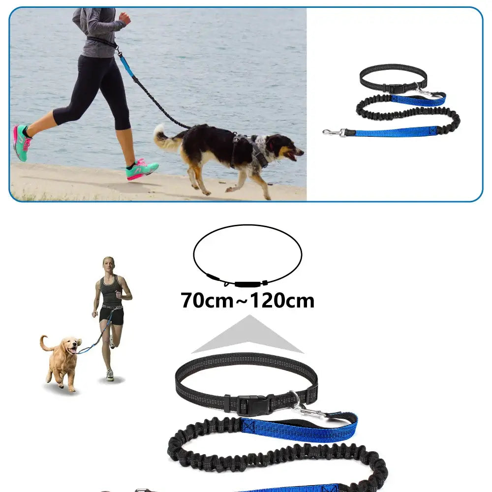 Tail Runner - Hands-Free Dog Leash
