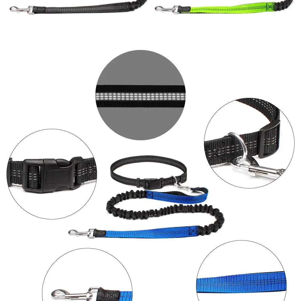 Tail Runner - Hands-Free Dog Leash