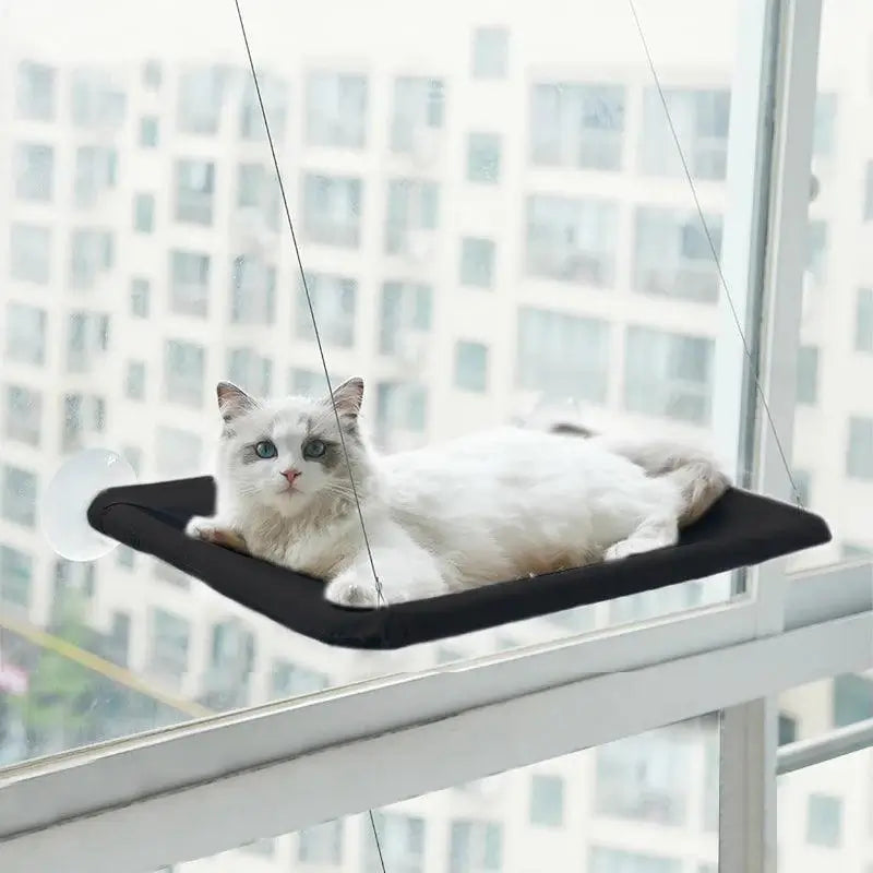 Hangout Cat Hammock - Alexa Pet Shop