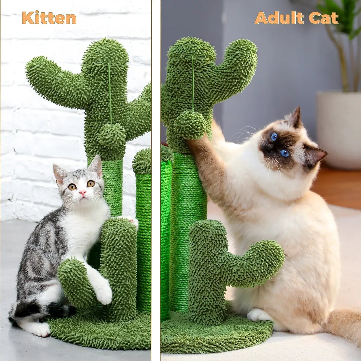 Kitten and adult cat playing with a cactus-themed scratching post, designed for feline entertainment and home decor.