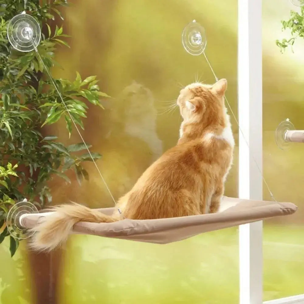 Hangout Cat Hammock - Alexa Pet Shop