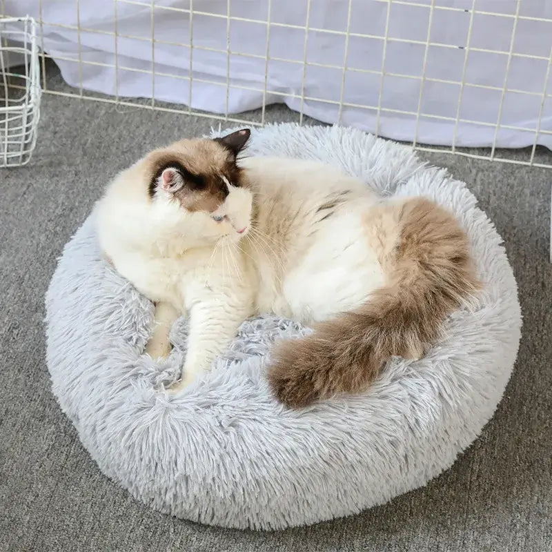 Fluffy round pet bed for small dogs and cats, providing comfort and anxiety relief for furry friends.