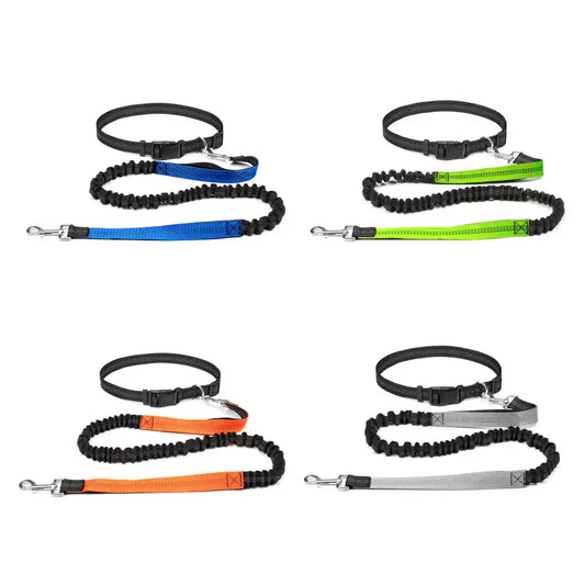 Hands-free dog leashes in various colors: blue, green, orange, and gray, designed for running and jogging.