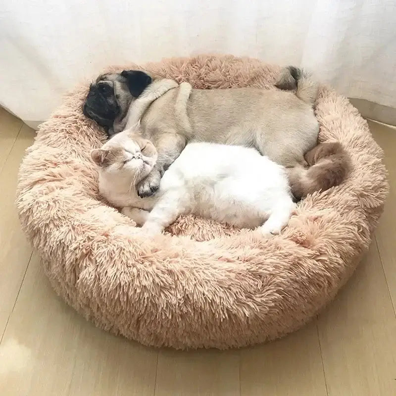 Cozy plush pet bed with a pug and a cat sleeping peacefully together in a round donut design.