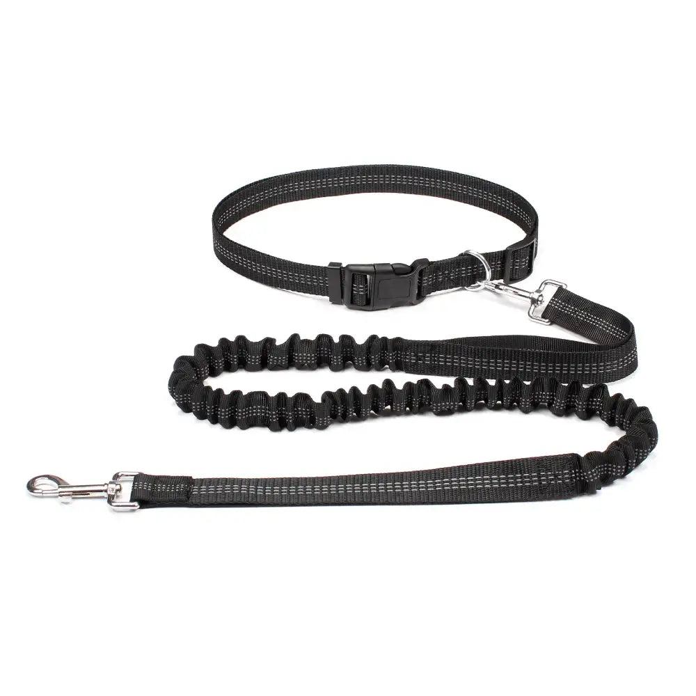 Tail Runner - Hands-Free Dog Leash