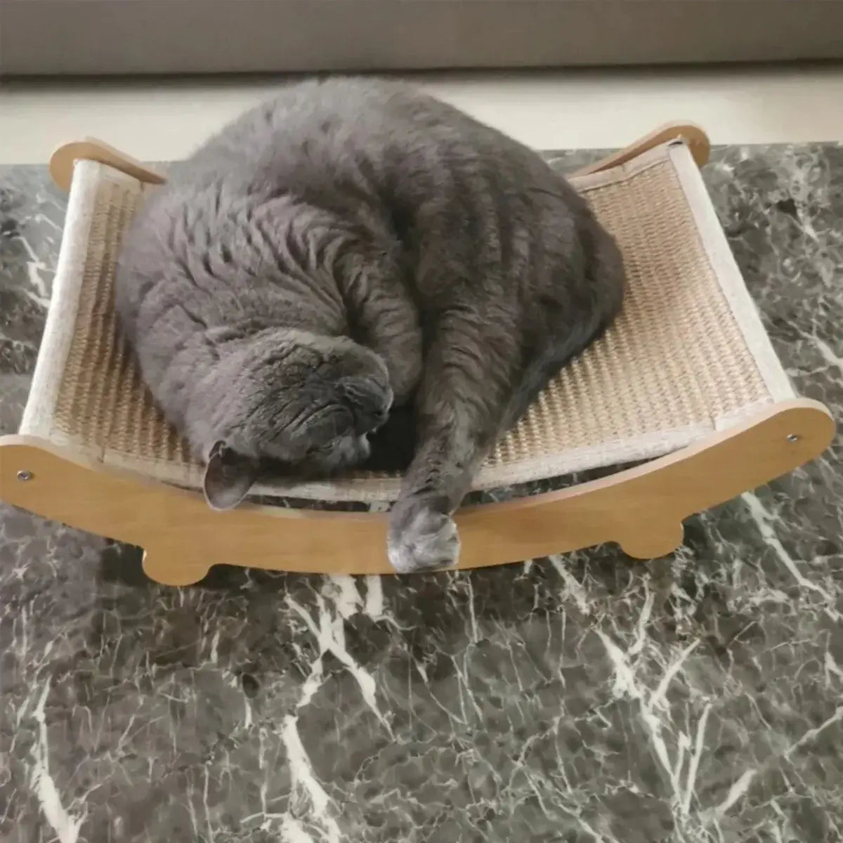 Gray cat curled up on a wooden cat scratcher bed, showcasing comfort and relaxation in a cozy setting.