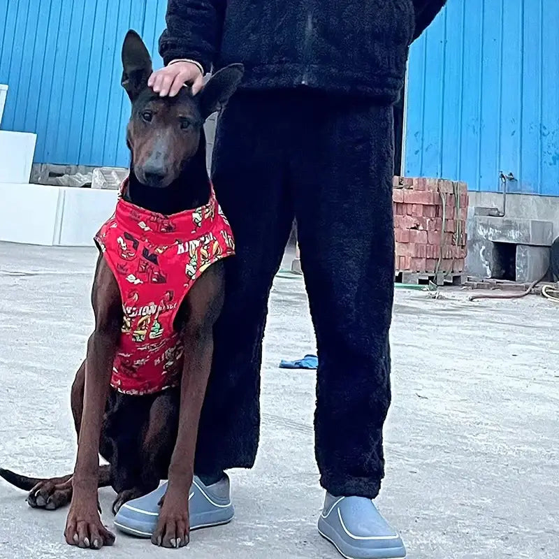 A dog wearing a stylish red rainproof jacket sits beside a person in a cozy outfit outdoors.