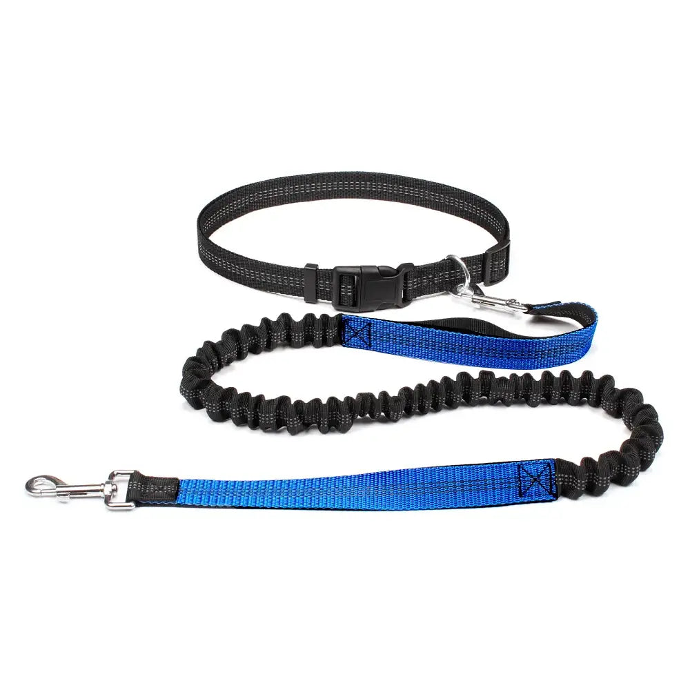 Tail Runner - Hands-Free Dog Leash