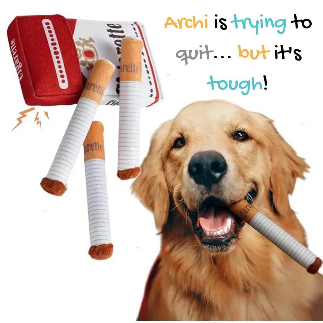 Funny plush cigarette dog toy set with a golden retriever, featuring squeaky cigarettes for small and medium dogs.