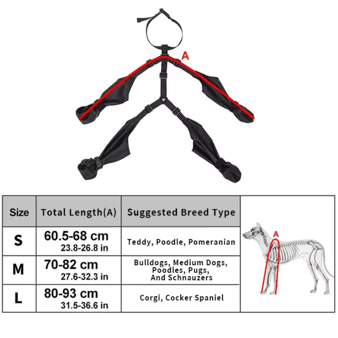 Sizing guide for dog harness with size measurements and suggested breed types for small, medium, and large dogs.
