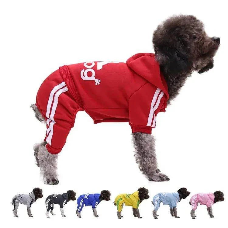 Small dog in red Adidog hoodie showcasing stylish dog apparel with various color options below for winter wear.