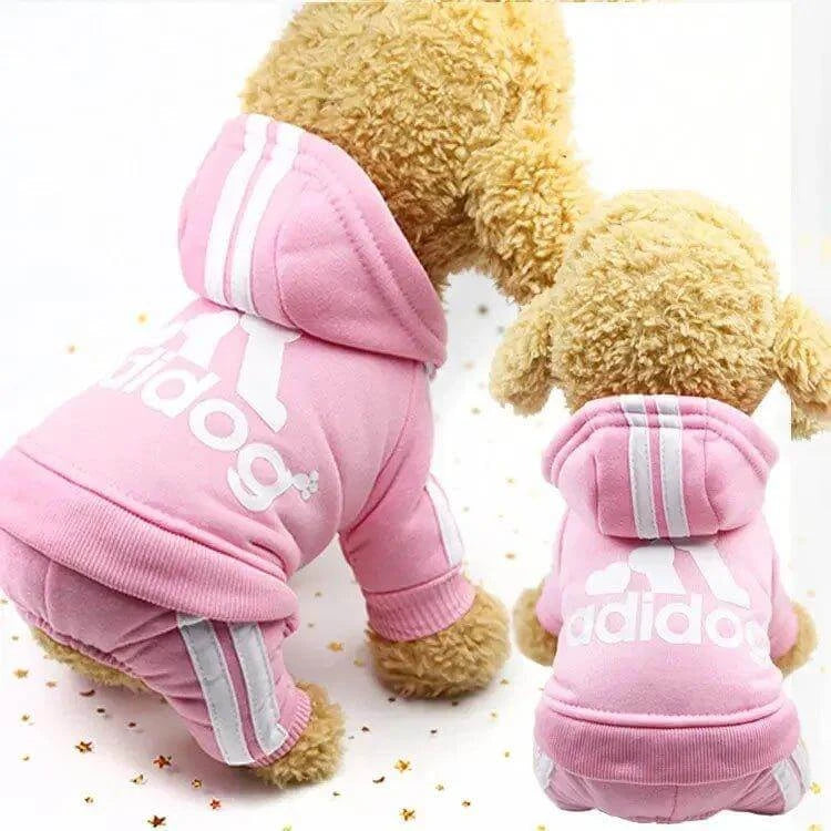 Small dog wearing a pink Adidog hoodie, showcasing stylish dog clothes perfect for autumn and winter.