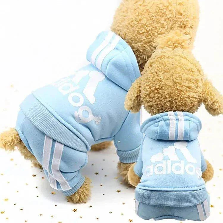 Cute small dogs in blue Adidog warm hoodies, showcasing stylish dog apparel for autumn and winter outings.
