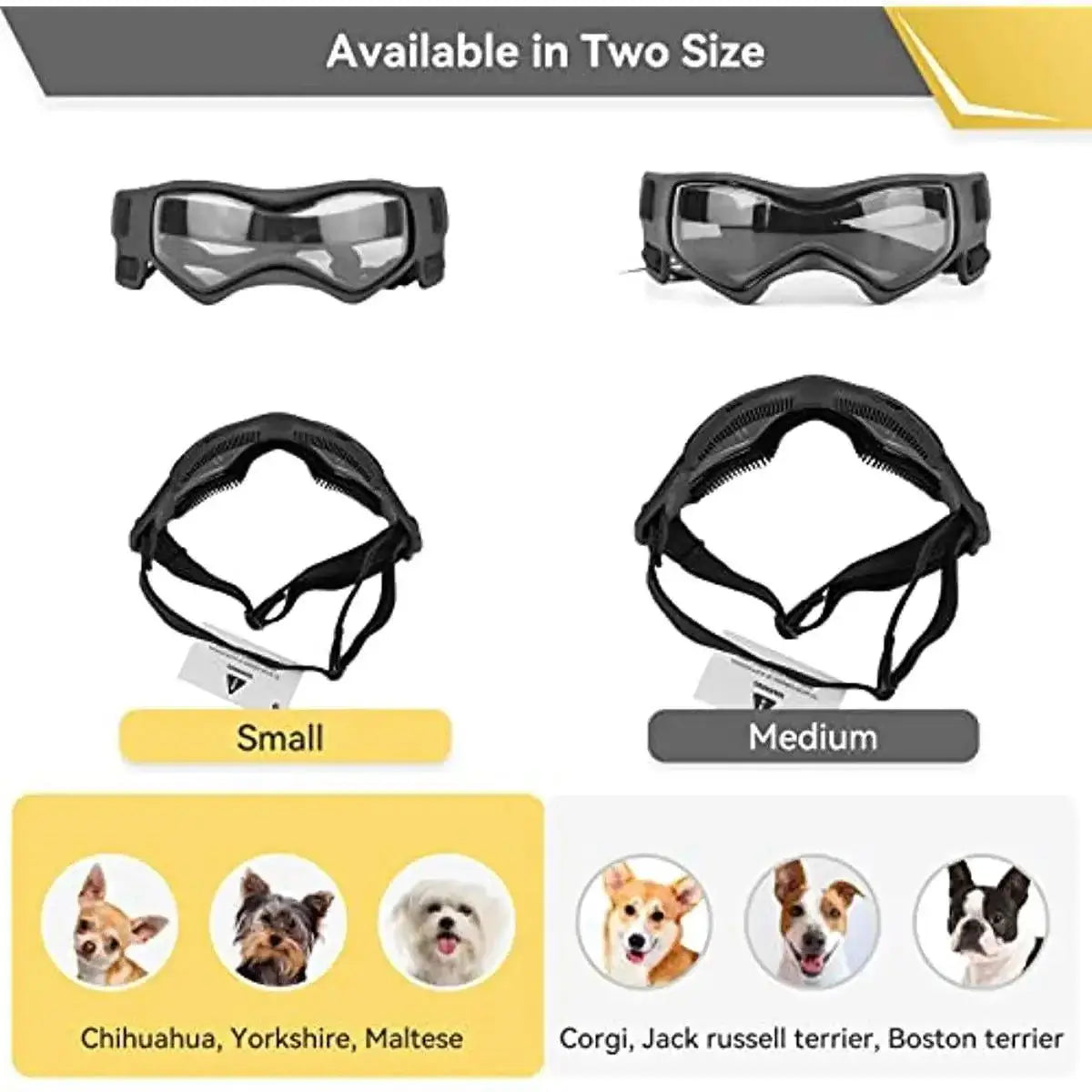 BarkGlas dog goggles in two sizes for comfortable outdoor eye protection—small for Chihuahuas and medium for Corgis.
